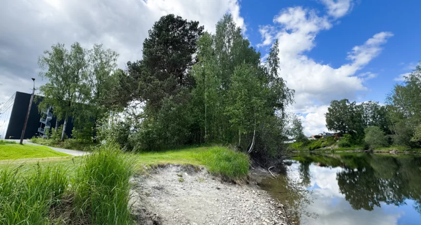 Nærmiljøet til et av anleggene Lindum Clairs har levert luktreduserende løsning for.